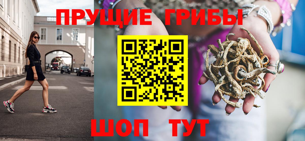 Псилоцибиновые грибы мухоморы Выборг