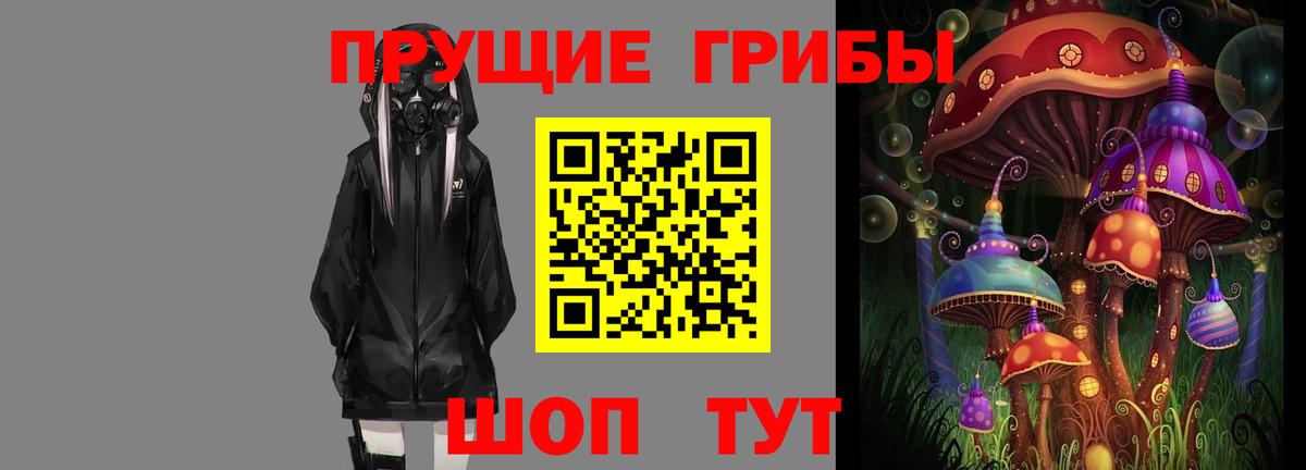 купить наркотики сайты  Вход с VPN  Псилоцибиновые грибы мицелий  Выборг  Галлюциногенные грибы мухоморы 